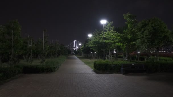 Tokyo Toyosu Gururi Park Night View 2022 June — Stock Video