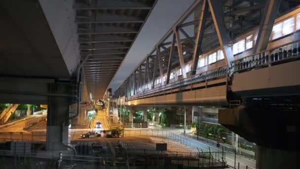 Tokyo Arakawa Rivierbedding Nachtzicht 2022 — Stockvideo