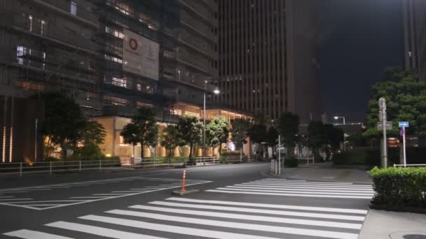 Tokyo Shinagawa Seaside Nachtzicht 2022 — Stockvideo