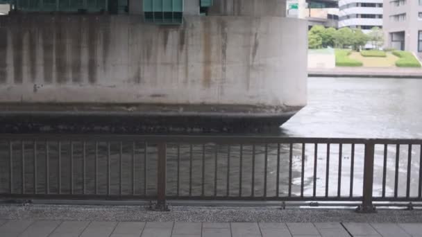 Tokio Sumida River Elokuvavideo 2022 Kesäkuu — kuvapankkivideo