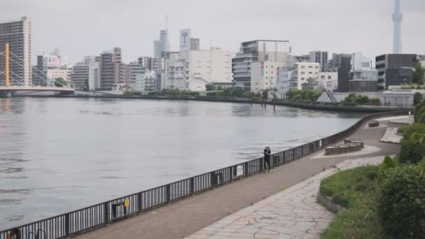 东京苏美达河电影录影带2022年6月 — 图库视频影像