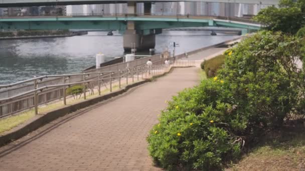 Tokió Sumida River Cinematic Videó 2022 Június — Stock videók