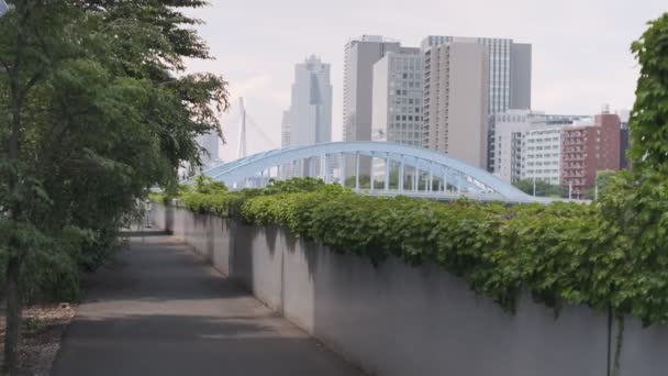 Tokyo Sumida River Video Cinematográfico 2022 Junio — Vídeo de stock