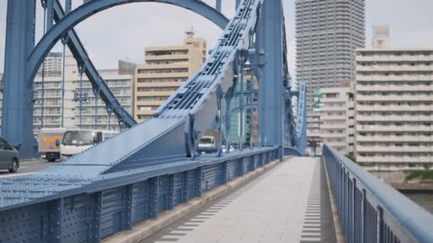 Τόκιο Sumida River Κινηματογραφικό Βίντεο 2022 Ιούνιος — Αρχείο Βίντεο