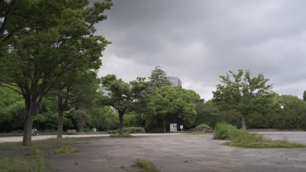 Tokyo Kiba Park Vídeo Cinematográfico 2022 Junho — Vídeo de Stock