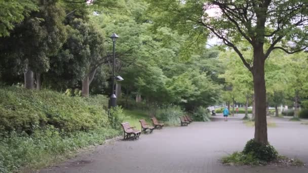 Tokyo Kiba Park Cinematic Видео 2022 Июнь — стоковое видео