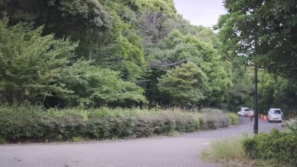 Tokyo Kiba Park Vídeo Cinematográfico 2022 Junio — Vídeo de stock