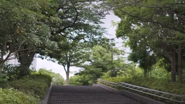 Tokyo Kiba Park Vídeo Cinematográfico 2022 Junio — Vídeo de stock