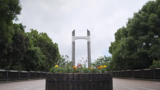 Tokyo Kiba Park Cinematic Video 2022 June — Stock Video