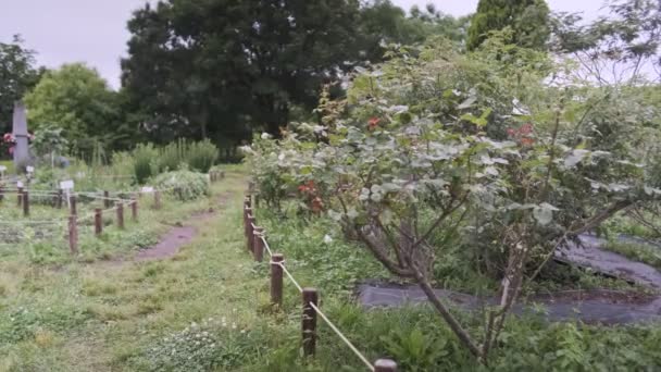 Tokyo Kiba Park Vídeo Cinematográfico 2022 Junio — Vídeo de stock