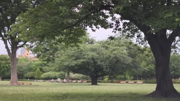 Tokyo Kiba Park Vídeo Cinematográfico 2022 Junho — Vídeo de Stock