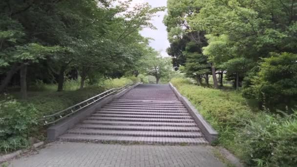 Tokyo Kiba Park Vídeo Cinematográfico 2022 Junio — Vídeo de stock