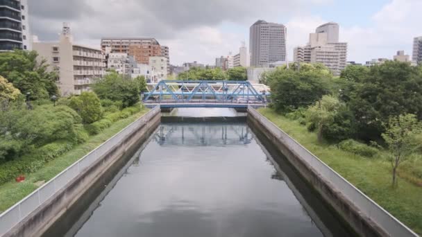 Filmvideo Från Tokyo Kiba Park 2022 Juni — Stockvideo