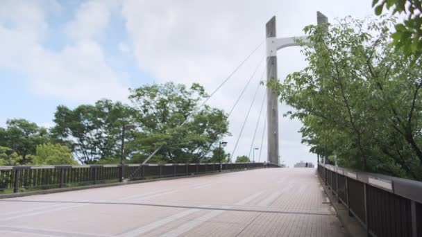 Tokyo Kiba Park Cinematic Video 2022 Juni — Stok Video