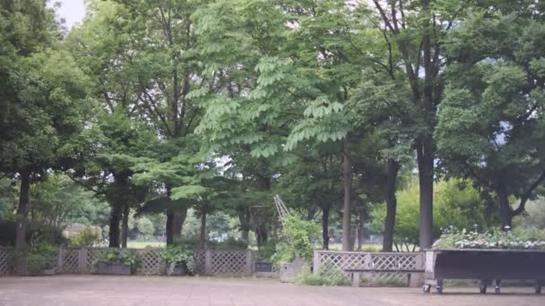 Tokyo Kiba Park Vídeo Cinematográfico 2022 Junio — Vídeo de stock