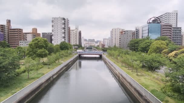 Tokyo Kiba Parkı Sinematik Video 2022 Haziran — Stok video