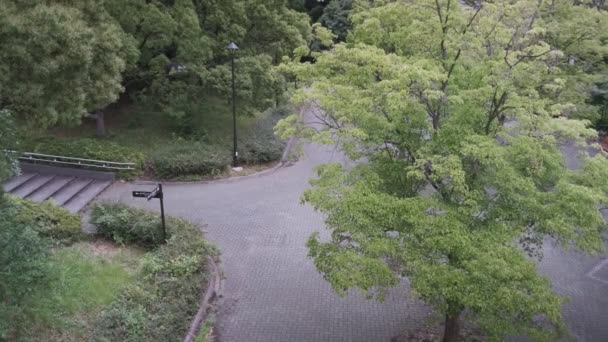 Tokyo Kiba Park Vídeo Cinematográfico 2022 Junio — Vídeo de stock