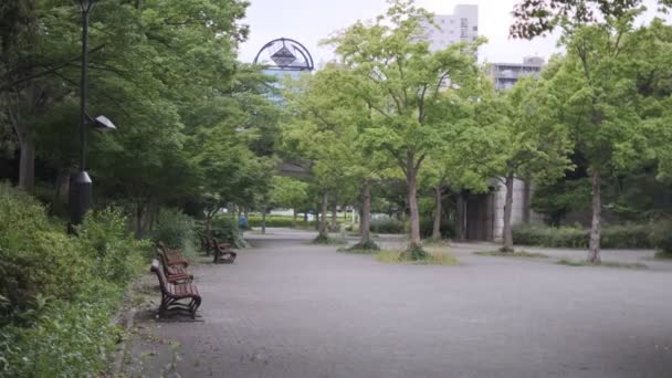 Tokio Kiba Park Filmvideo Vom Juni 2022 — Stockvideo