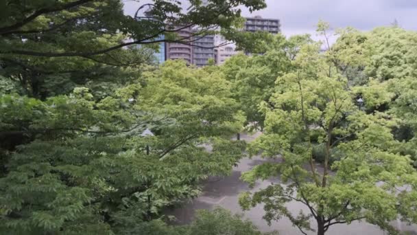 Tokyo Kiba Park Cinematic Video 2022 Juni — Stok Video