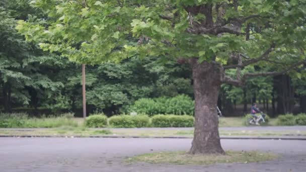 Tokyo Kiba Park Vídeo Cinematográfico 2022 Junho — Vídeo de Stock