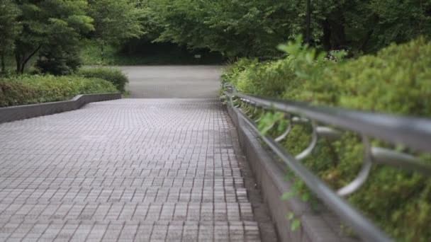 Tokyo Kiba Park Cinematic Video 2022 June — Stock Video