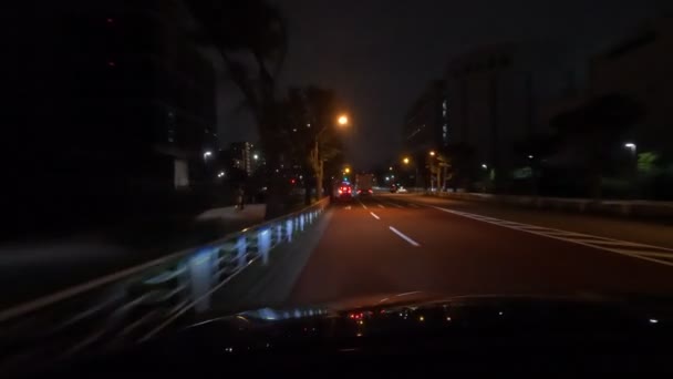 Tokyo Night View Car Driving Video 2022 — Stock Video