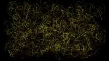 İnce çizgiler hareket eden CG parçacıkları hareket grafikleri