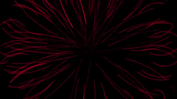 Warna Penghisap Grafik Gerak Partikel — Stok Video