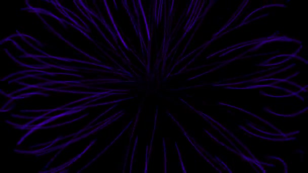 Suction Color Particle Motion Graphics — Vídeos de Stock