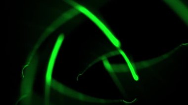 Dalga bükme CG parçacık hareketi grafikleri