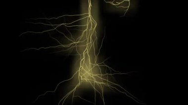 Elektrik gök gürültüsü CG parçacık hareketi grafikleri 
