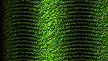 Akış rengi CG parçacık hareketi grafikleri