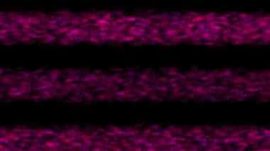 Akış rengi CG parçacık hareketi grafikleri