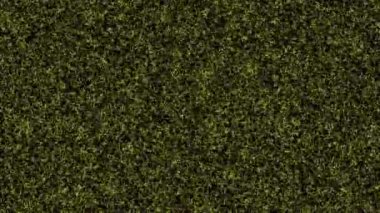 İnce çizgiler hareket eden CG parçacıkları hareket grafikleri