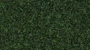 İnce çizgiler hareket eden CG parçacıkları hareket grafikleri