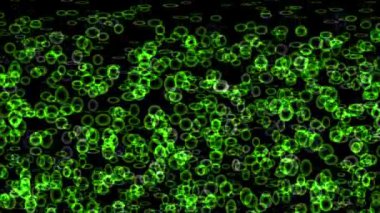 Tahıl Parçacığı Parçacık Hareketi Grafikleri