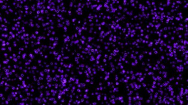 Renkli gösterişli CG parçacık hareketi grafikleri