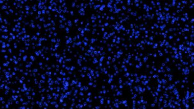 Colorful flashy CG particle motion graphics