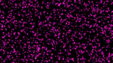 Colorful flashy CG particle motion graphics