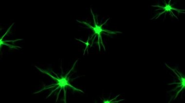 Çokgen nokta çizgisi CG parçacık hareketi grafikleri