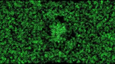 Color Vortex rotation side CG particle motion graphics
