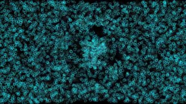 Renkli Girdap yan CG parçacık hareketi grafikleri