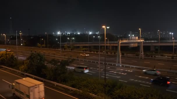 Tokyo Night Metropolitan Expressway Gulf Line Bayshore 2022 — Stok video