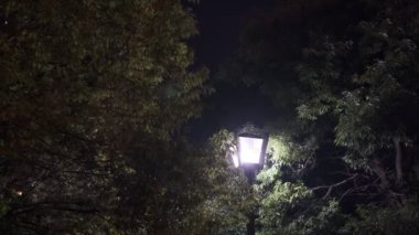 Tokyo Santrali, Night View Sinematik Video 2022 'den ayrılıyor