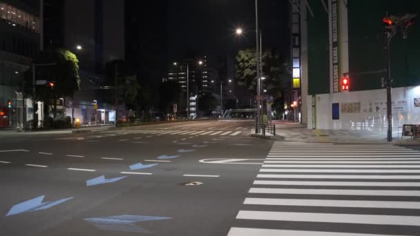 Tokyo Aoyama Night View 2022 July — Video Stock