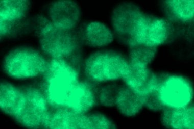 Duman sürüklenen renk CG arkaplan duvar kağıdı