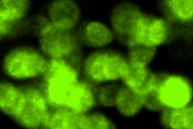 Duman sürüklenen renk CG arkaplan duvar kağıdı