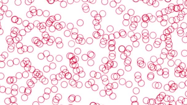 Circular Shape Particle White Background Color Motion Graphics — Vídeo de Stock