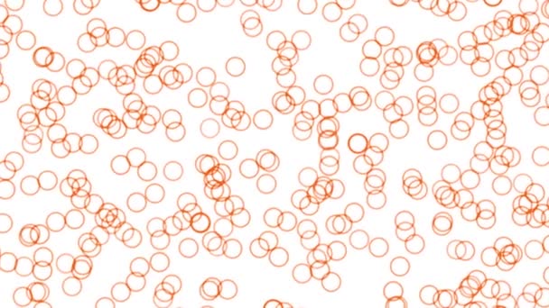 Circular Shape Particle White Background Color Motion Graphics — Vídeo de Stock