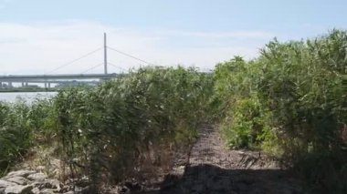 Tokyo Arakawa nehir yatağı manzarası 2022 Ağustos